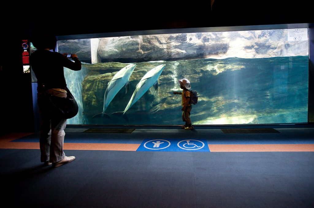 Осакский аквариум Kaiyukan